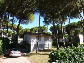 Villa CONTINENTI